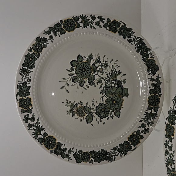 Royal Cauldon Bristol Ironstone Green Bower Dinner Plate - Picture 2 of 3